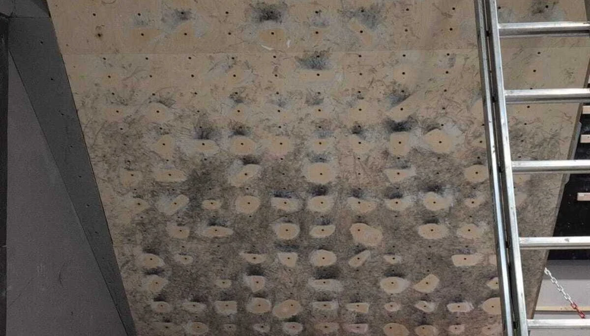 Moonboard mit Leiter | © Matthias Uken