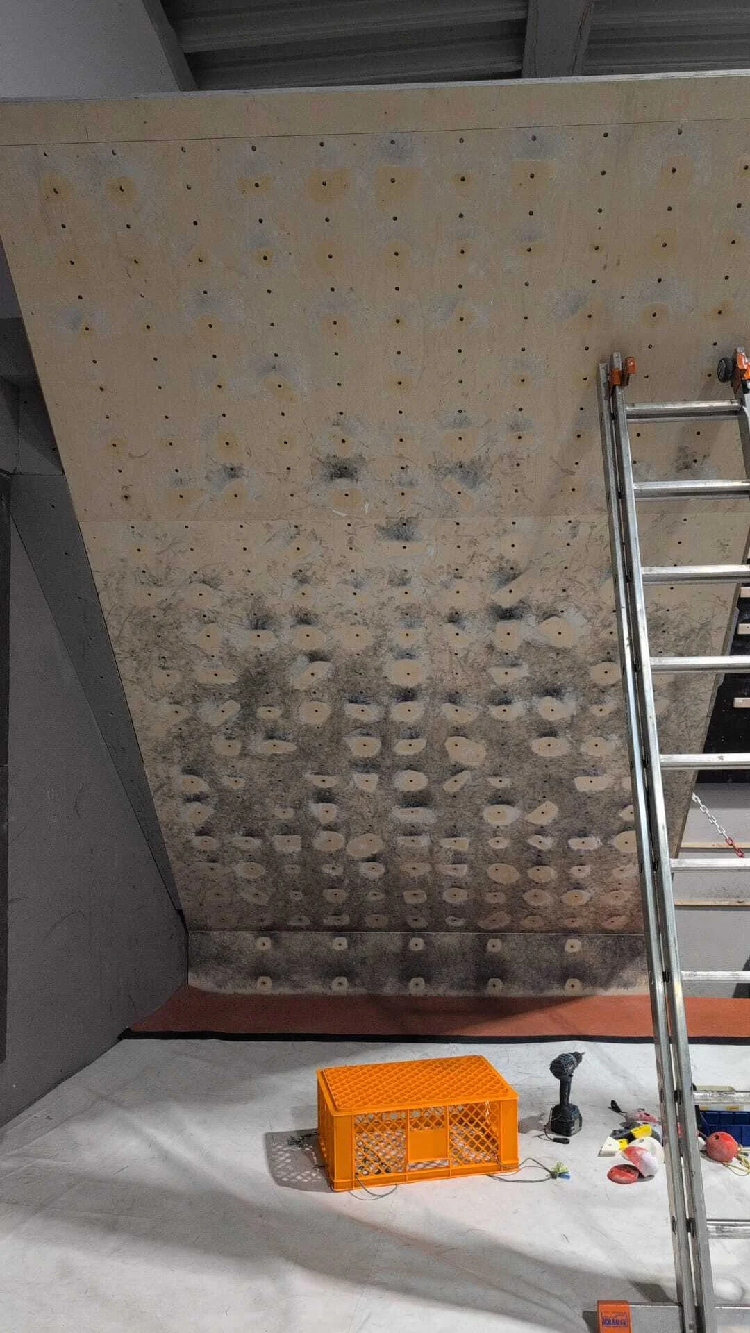 Moonboard mit Leiter | © Matthias Uken