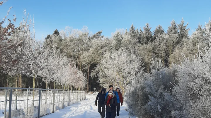 Wandergruppe läuft im Schnee einen Wanderweg entlang | © Beate Straube