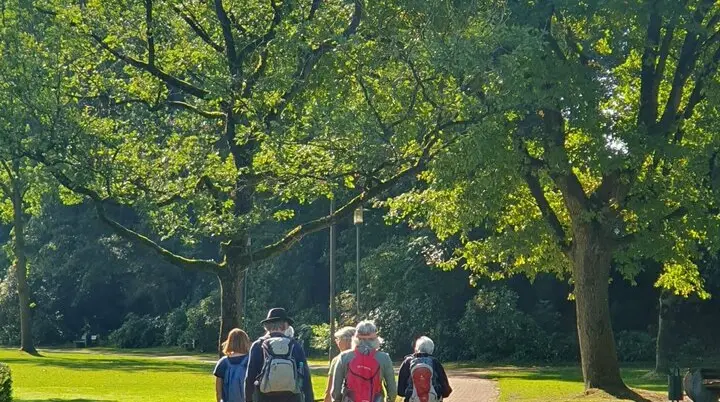 Eine Gruppe wandert durch einen Park mit hohen Bäumen | © Elke Brüggemann