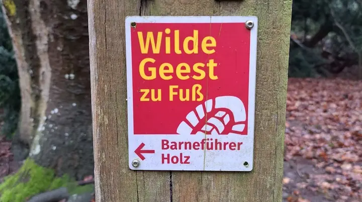 Wanderbild aus der Wildeshauser Geest | © Elena Selders